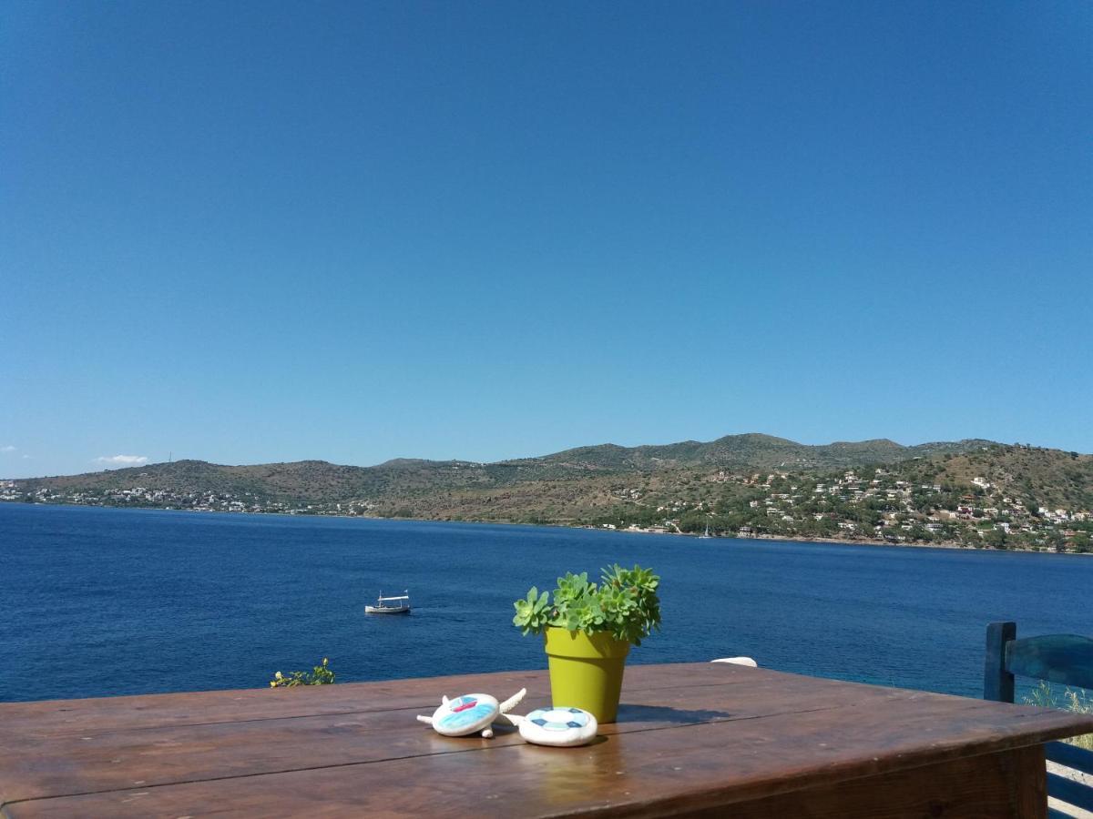 Villa Almyra Seaside à Perdika  Extérieur photo